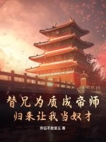 替兄为质成帝师，归来让我当奴才
